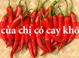 Nghệ thuật bán hàng đỉnh cao từ câu chuyện "Ớt có cay không?"